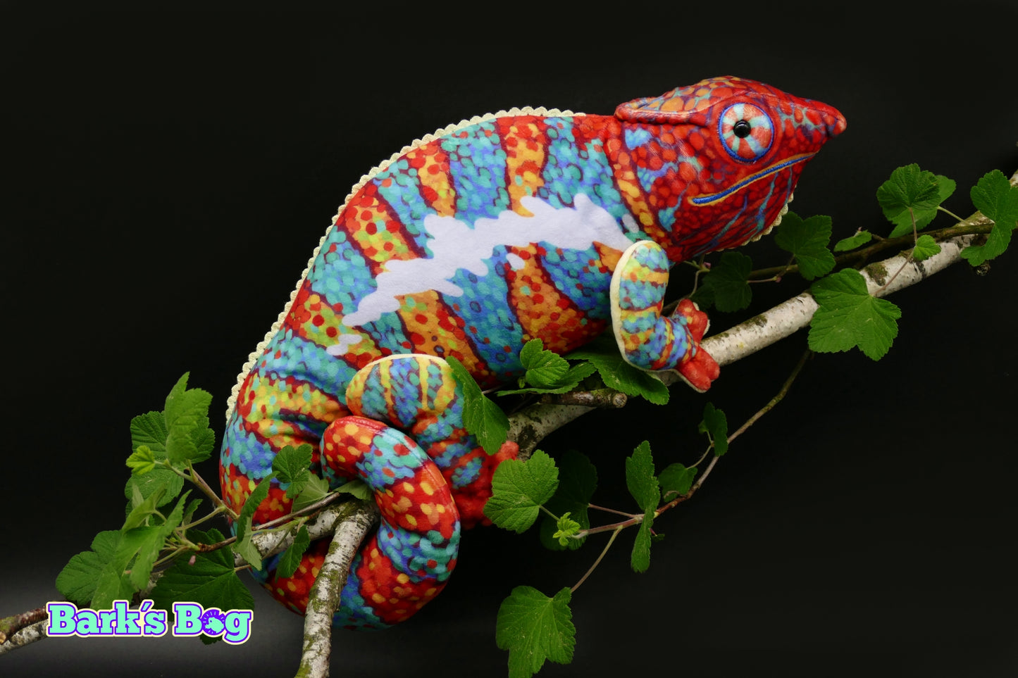 Panther Chameleon "Amilobe"