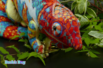 Panther Chameleon "Amilobe"