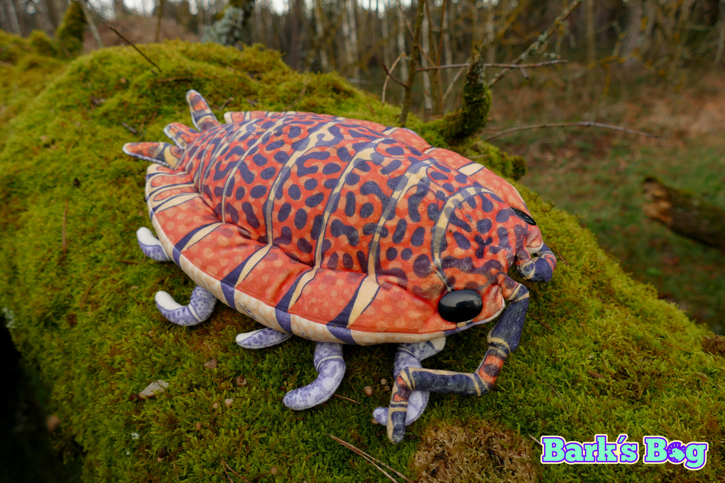 "Calico" Rough Woodlouse