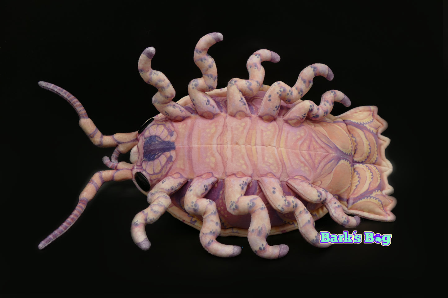 Giant Deepsea Isopods