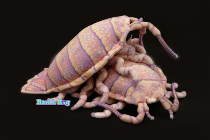 Giant Deepsea Isopods