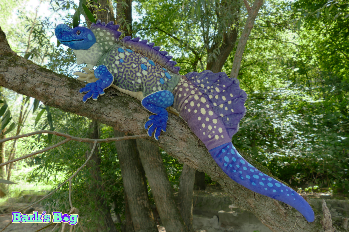 Philippine Sailfin Lizards